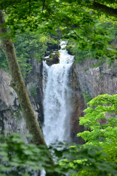 DSC_3953 (Large).JPG